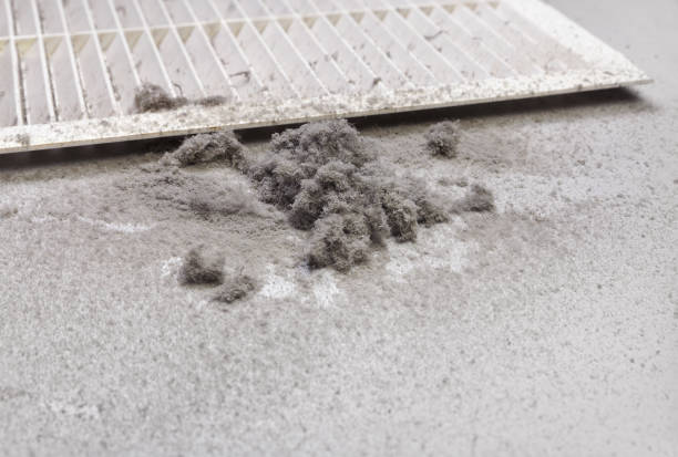 Best Air Vent Cleaning Services  in Royal Hawaiian Estates, HI