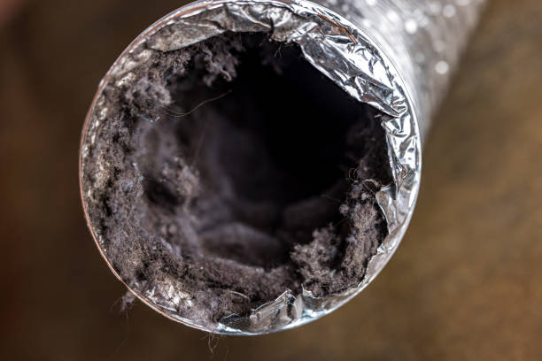 Best HVAC System Cleaning  in Royal Hawaiian Estates, HI