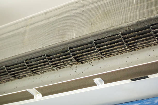 Best HVAC Air Duct Cleaning  in Royal Hawaiian Estates, HI