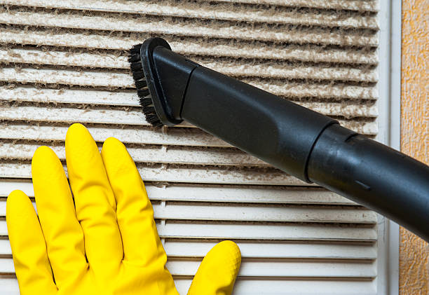 Best Air Duct Sanitizing Services  in Royal Hawaiian Estates, HI